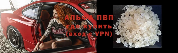 стафф Лабытнанги