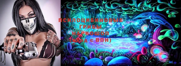 стафф Лабытнанги