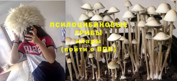 COCAINE Ладушкин