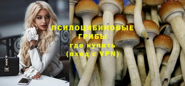 стафф Лабытнанги