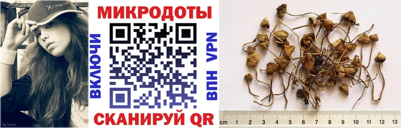Купить Анадырь Галлюциногенные грибы GOLDEN TEACHER